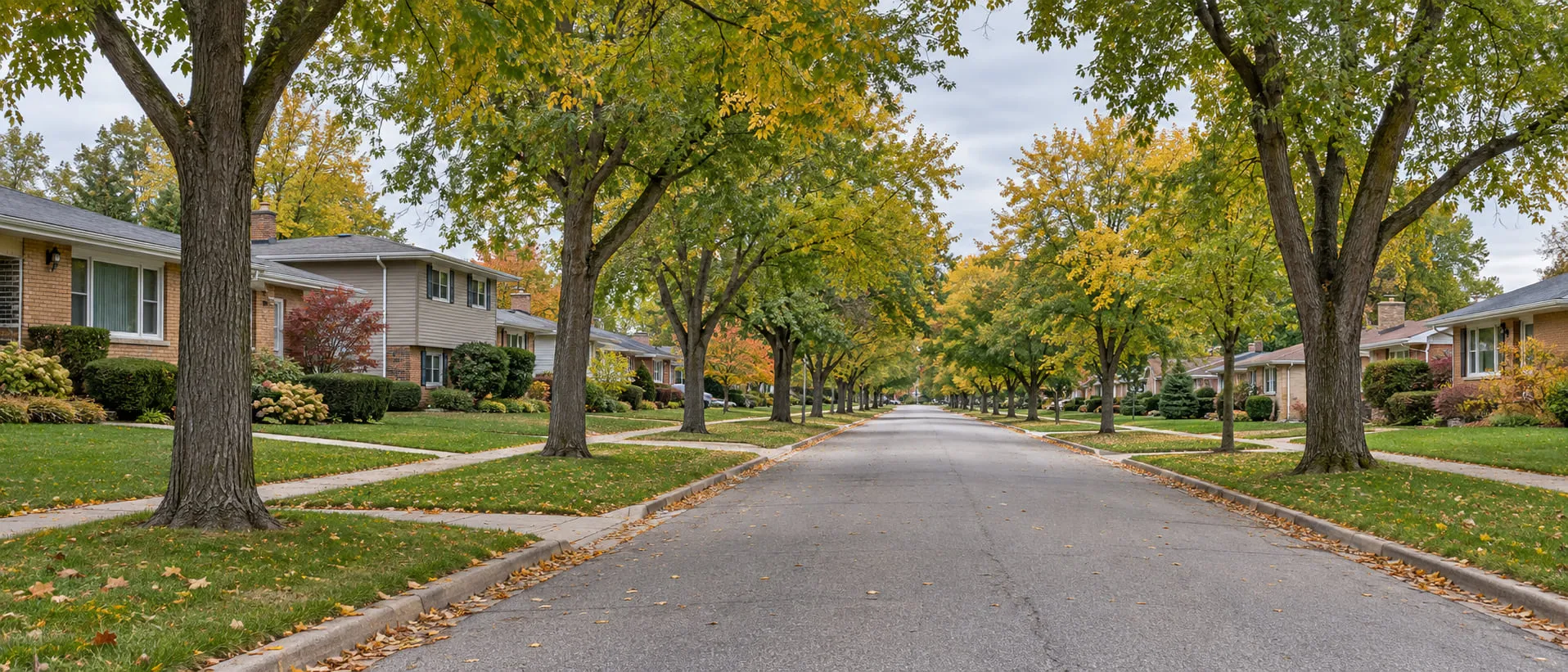 Tree-lined residential street of brick ranches and split-levels in the northwest suburbs of Chicago